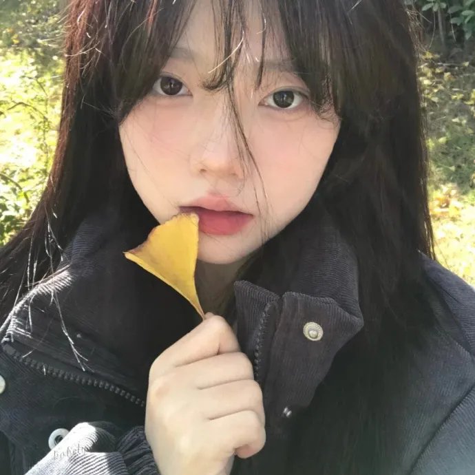 弄臣